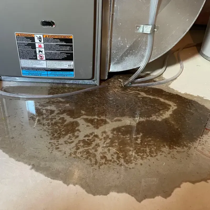 Appliance Leak Cleanup in Jackson County, MO